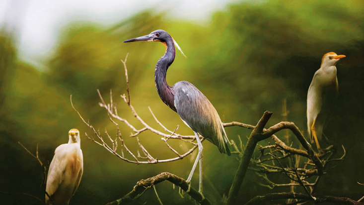 自主研发，不断创新